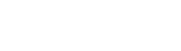 WINGS Academic Excellence